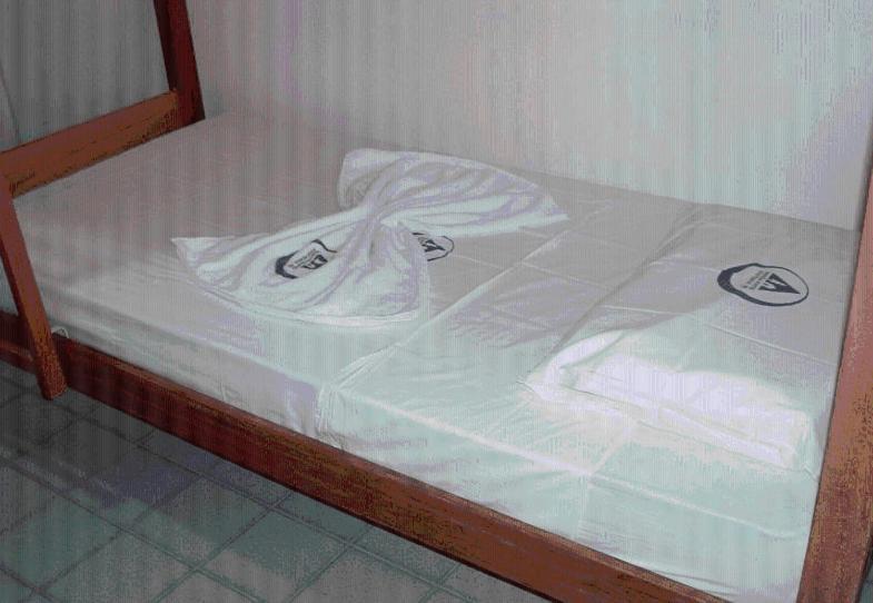 Manaira Hostel João Pessoa Eksteriør billede